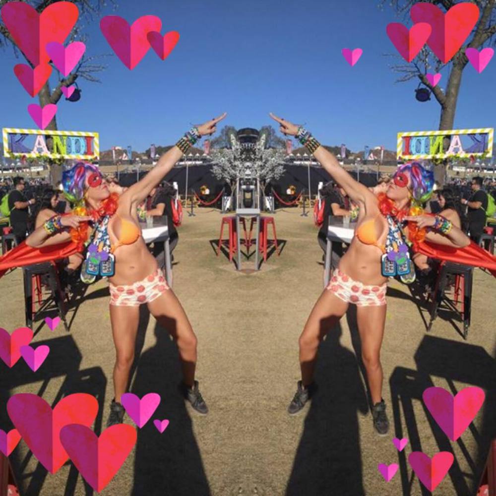 Meet your Posher, Rose